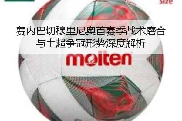 费内巴切穆里尼奥首赛季战术磨合与土超争冠形势深度解析